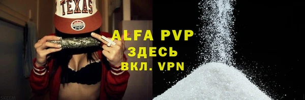 молекула духа Надым