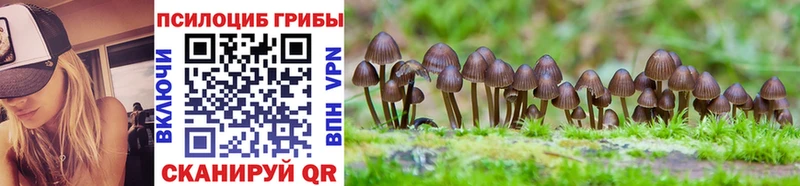 Купить закладки  Коряжма  Псилоцибиновые грибы прущие грибы 