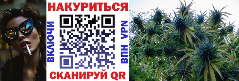 Шишки марихуана сатива Коряжма